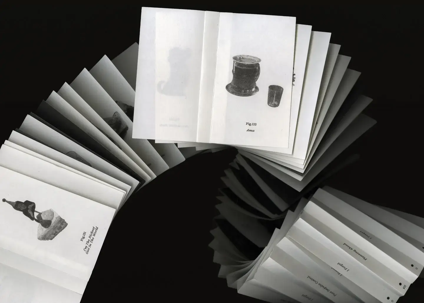 Le long livre Find The Earth d’Amber Pjongluck déployé avec ses pages d’archives d’objets