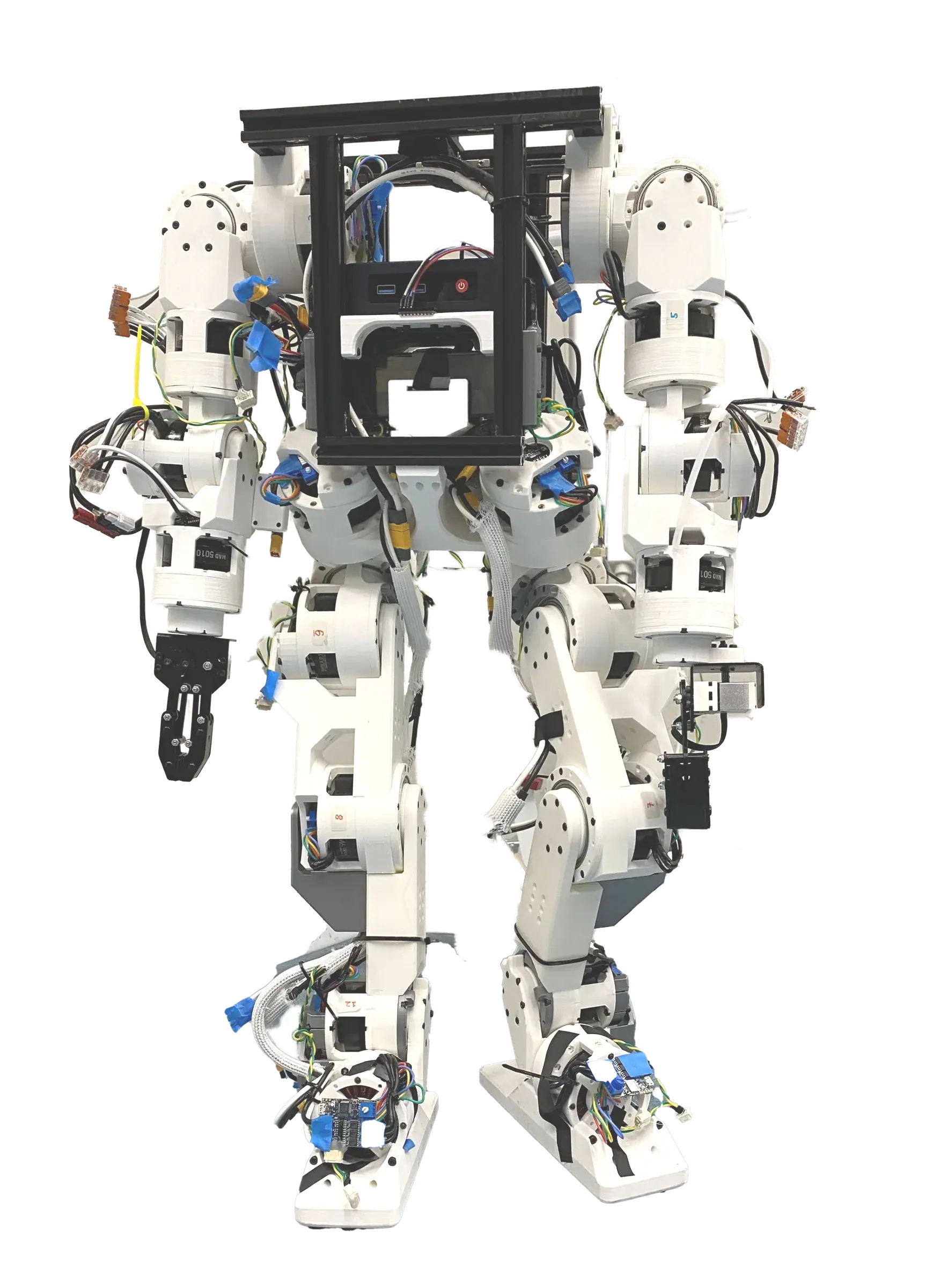 Berkeley Humanoid Lite standing, an open-source 3D-printed humanoid robot