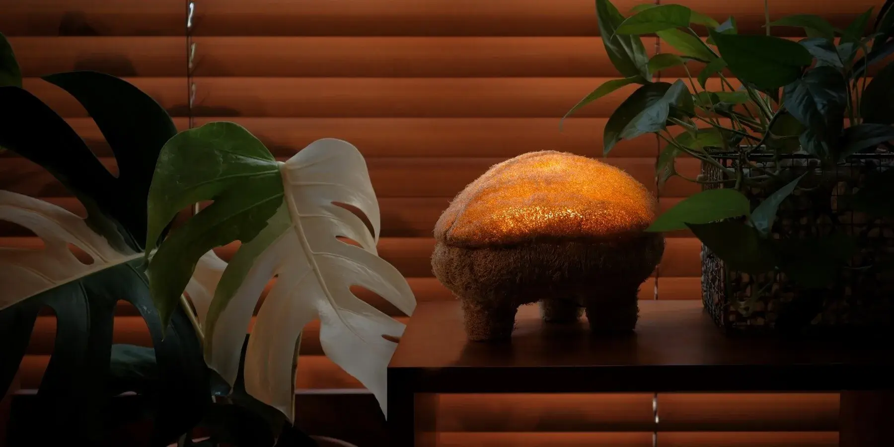 GOURDO lamp glowing above a pale mycelium composite base and fibrous luffa shade