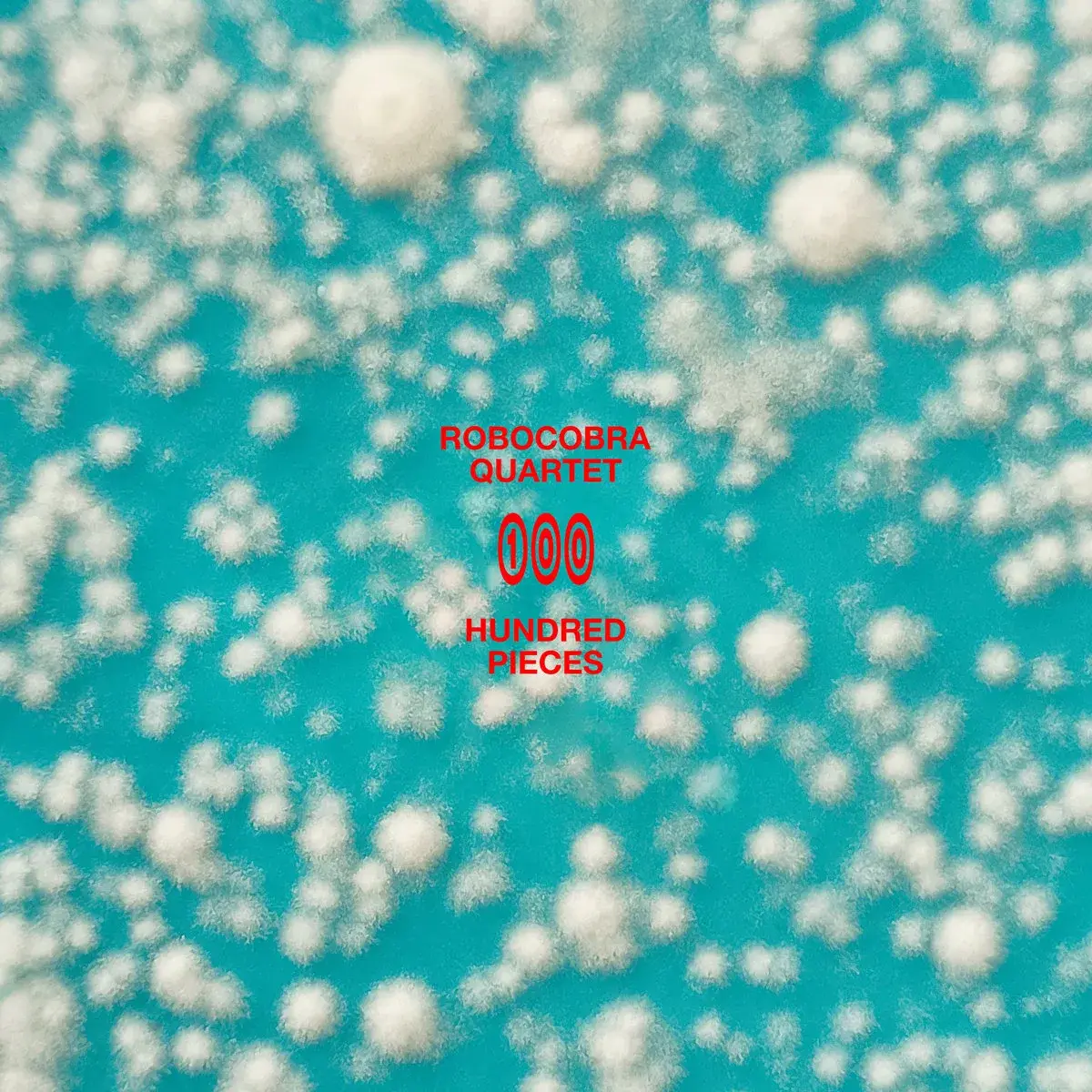 Pochette turquoise de Hundred Pieces avec colonies organiques blanches et titre rouge