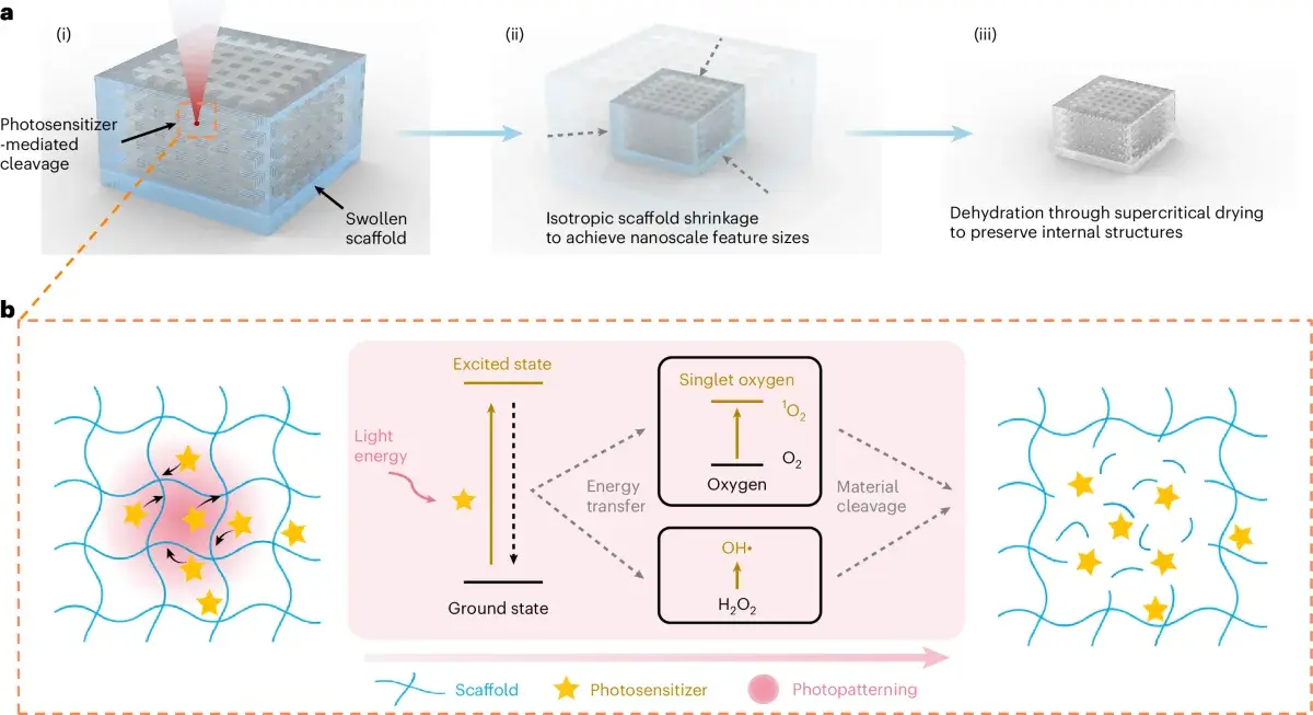 Implosion carving workflow showing photochemical cleavage, isotropic shrinkage and supercritical drying