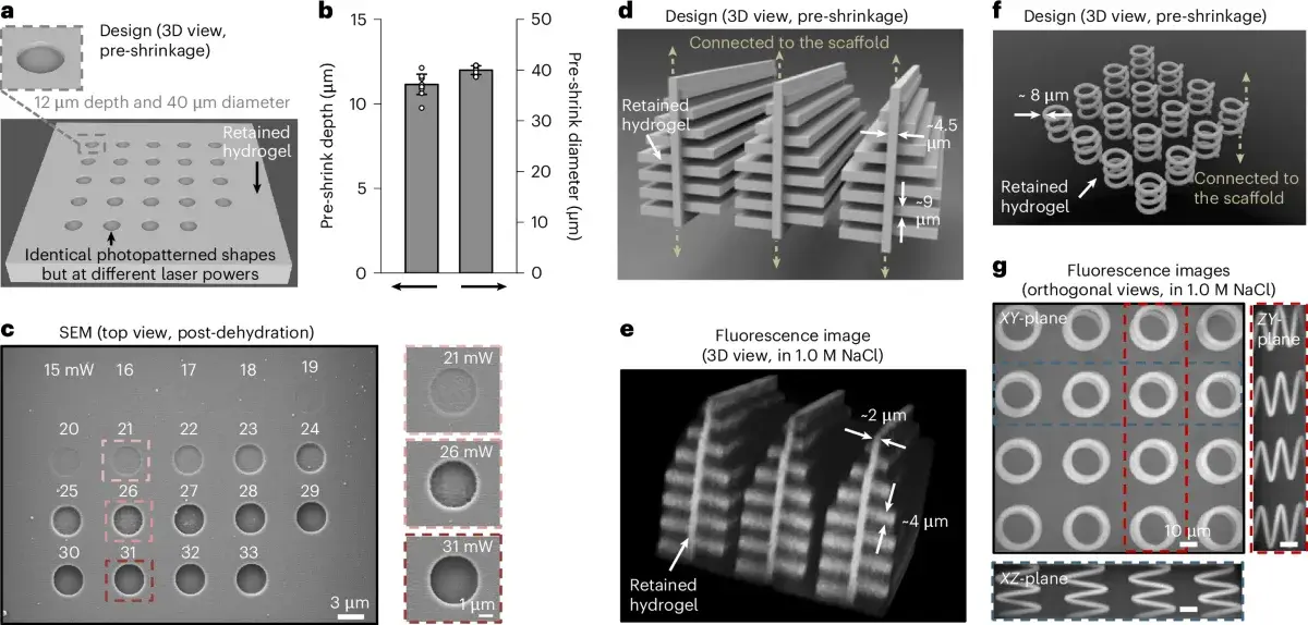 Complex geometries made by implosion carving in hydrogel, including a butterfly-wing-inspired structure and a helix