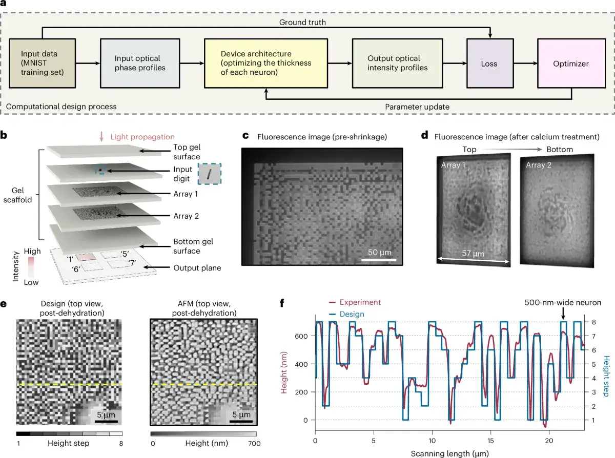 Design and fabrication of a nanoscale diffractive optical network made by implosion carving