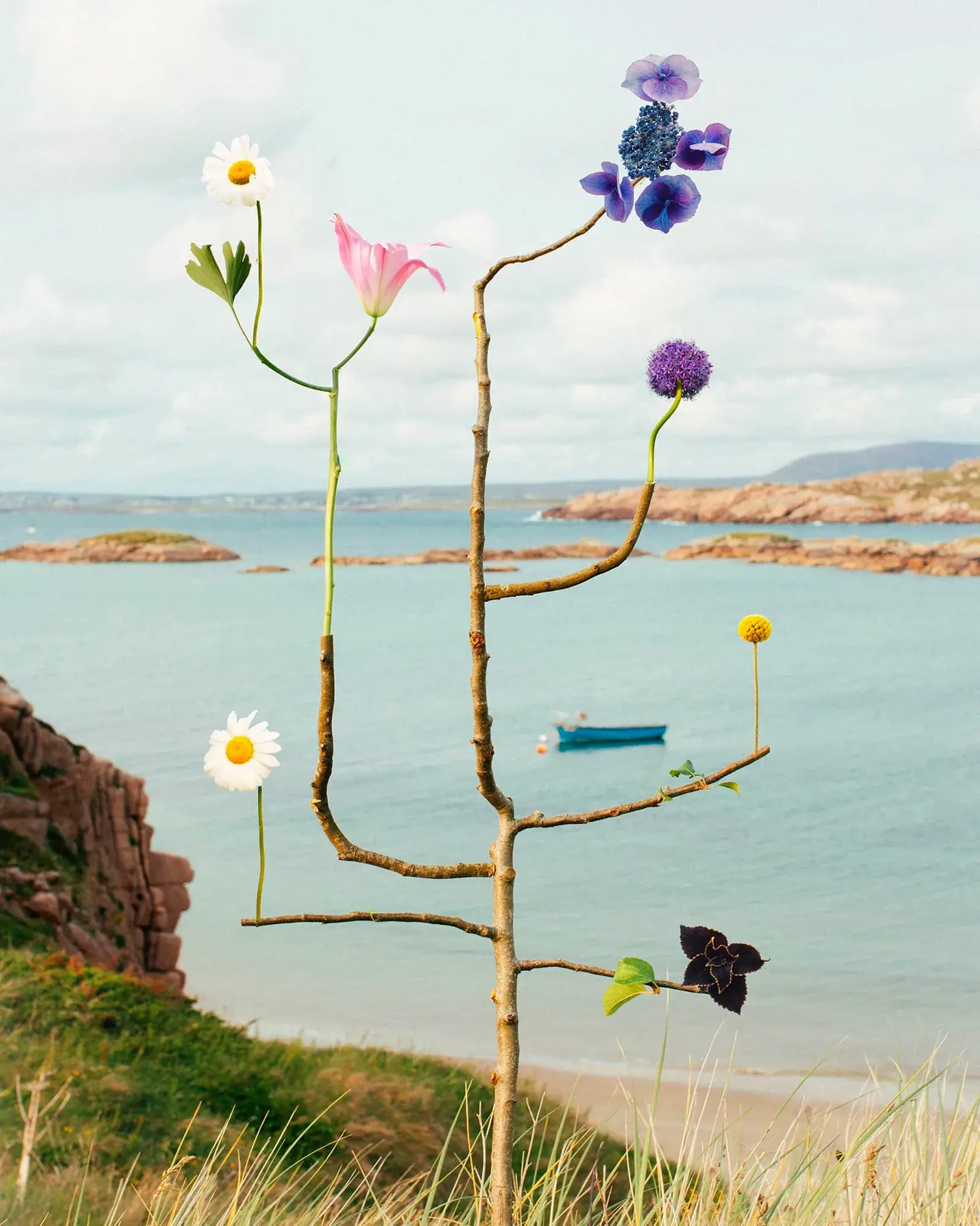 A Jennifer Latour Bound Species floral sculpture photographed in a natural landscape