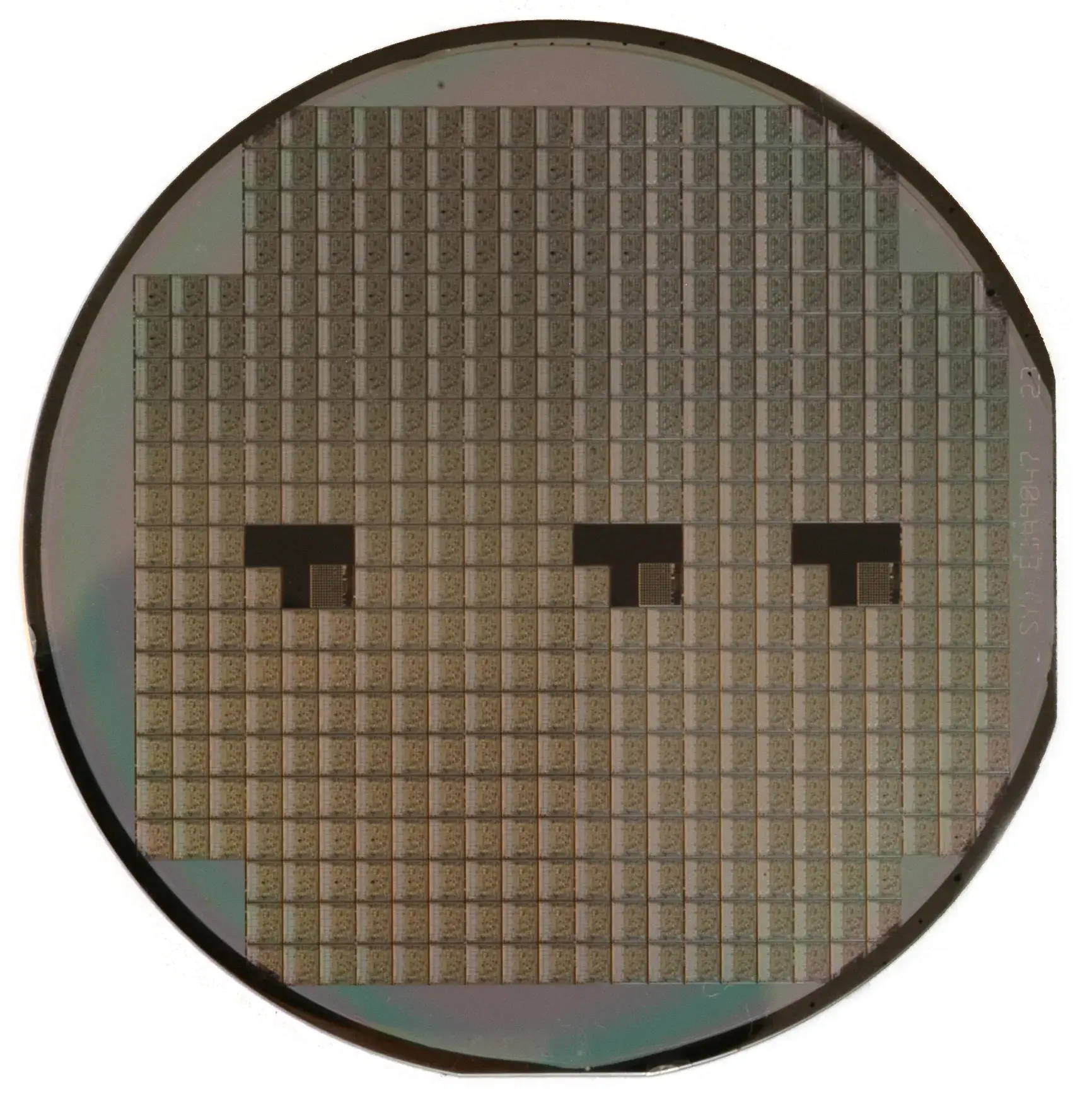 Close photograph of a silicon wafer covered in integrated circuits