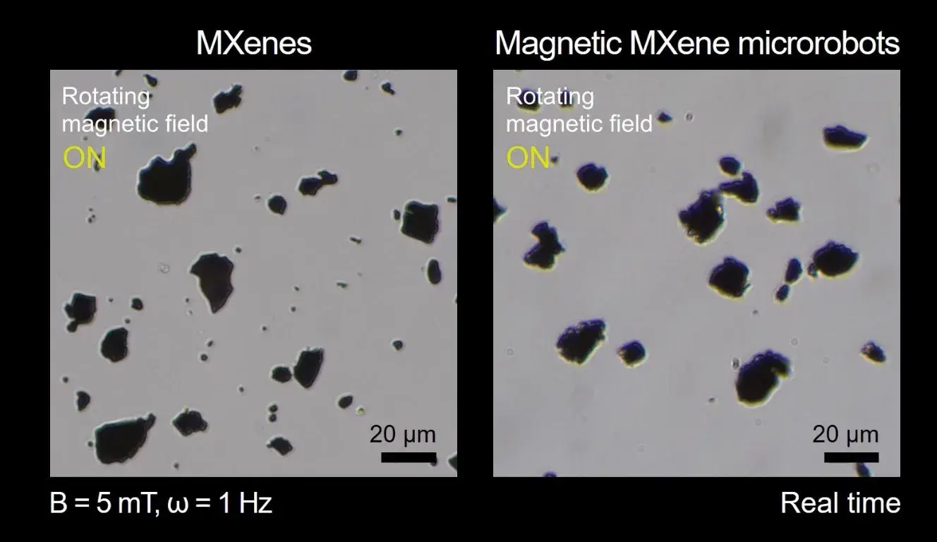 Illustration of the magnetic MXene flakes used to capture microplastics
