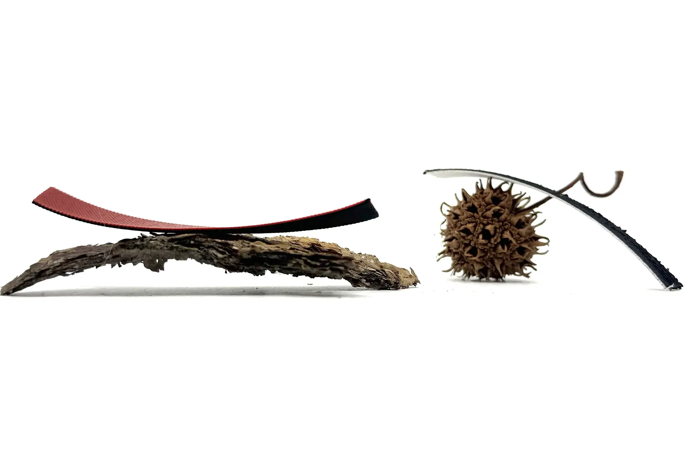Pine cone, bark and 3D-printed pieces used to study adaptive materials