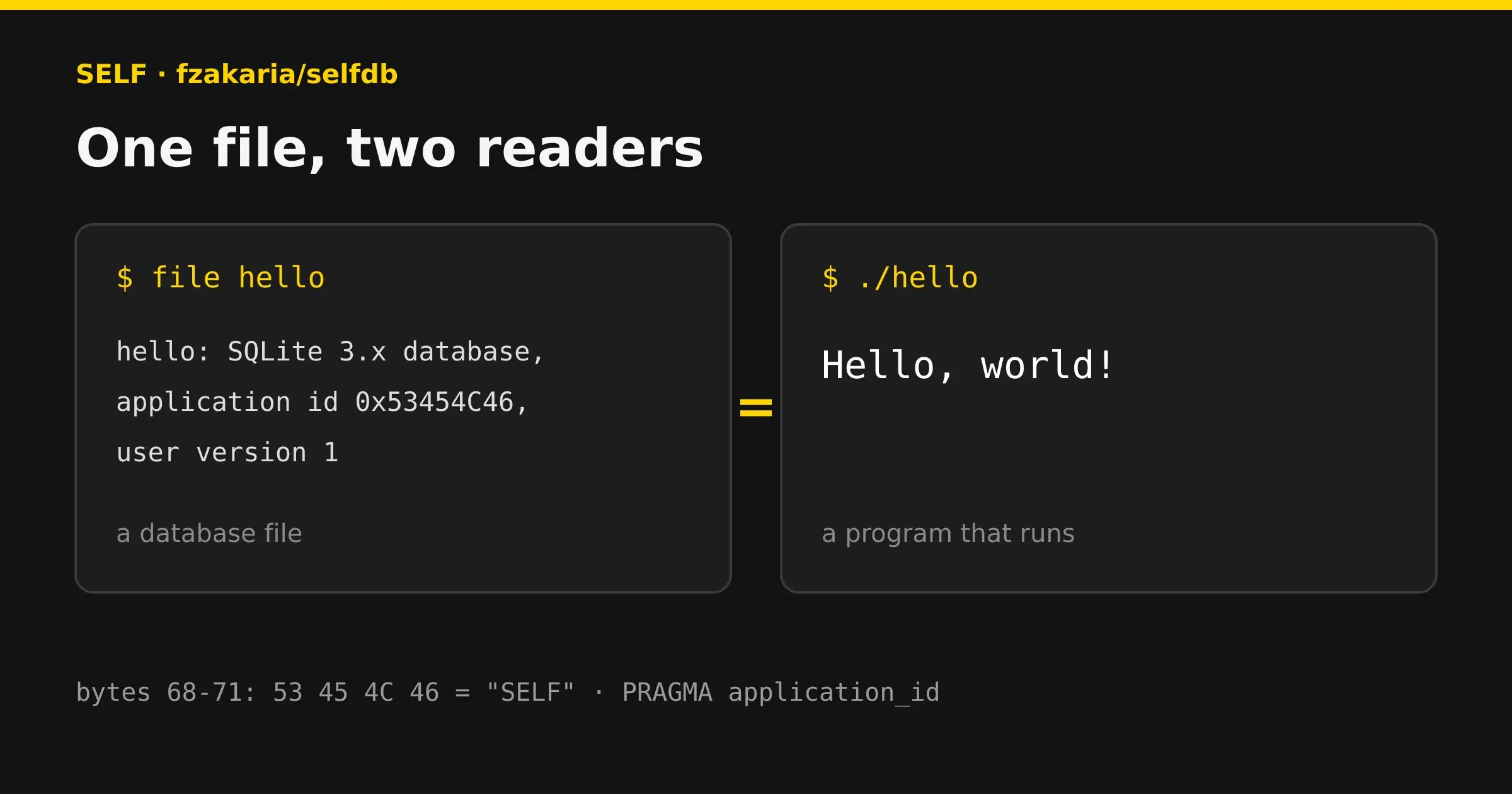 IRZ illustration: the same file read twice, once as a SQLite database by file(1), once as a running program