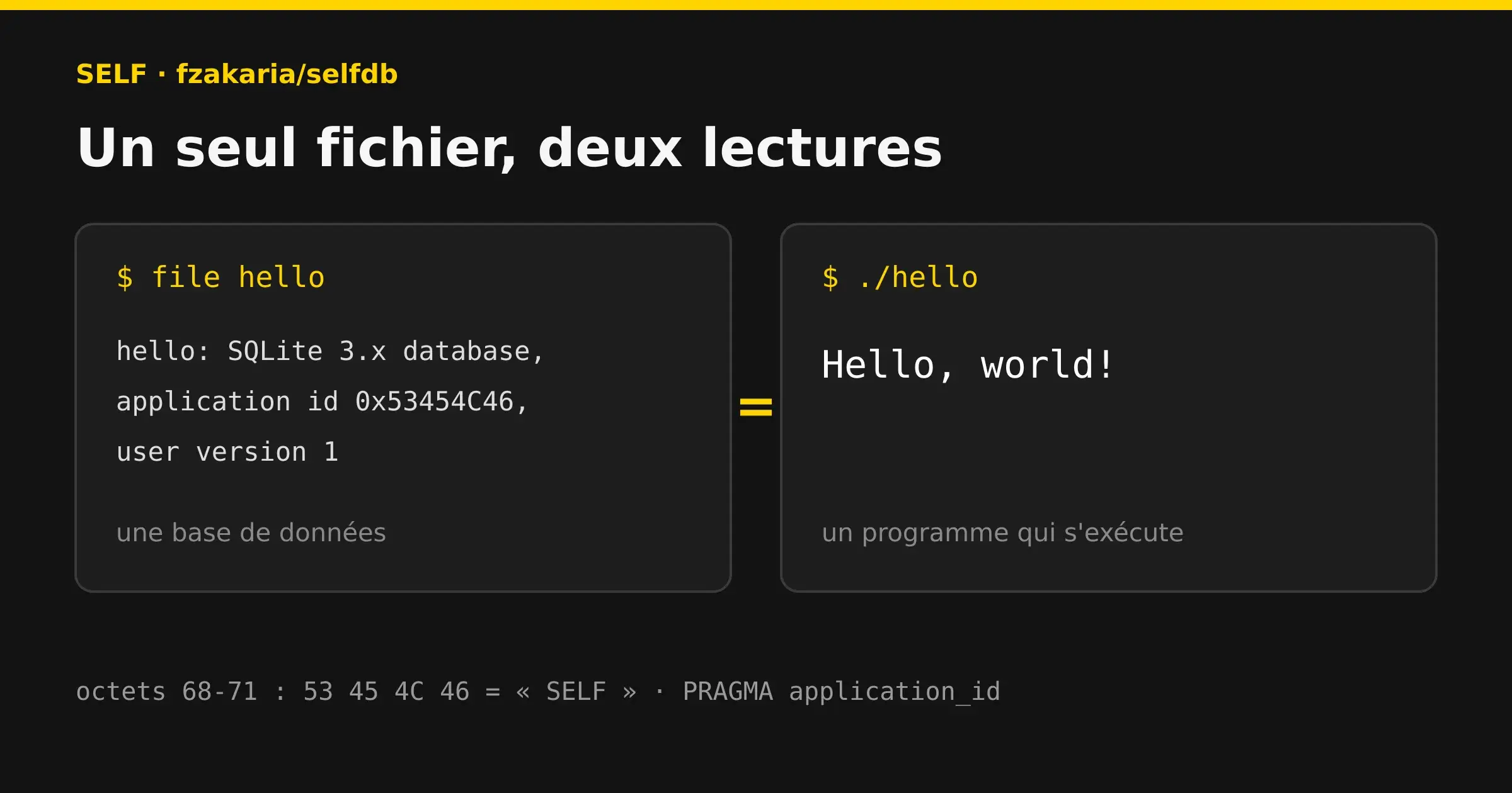 Illustration IRZ : le même fichier lu deux fois, comme base SQLite par file(1) puis comme programme exécuté
