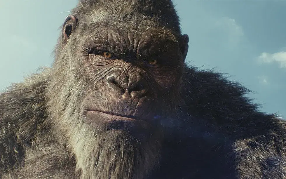Gros plan du visage réaliste du gorille King Kong généré en 3D, muscles nettement marqués sous la peau